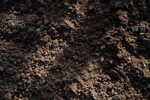 Premium Topsoil
