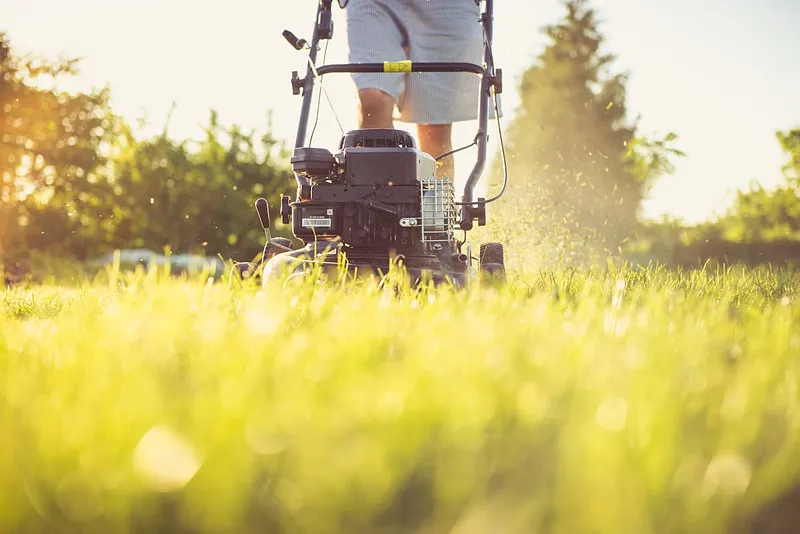 Lawn Care & Maintenance